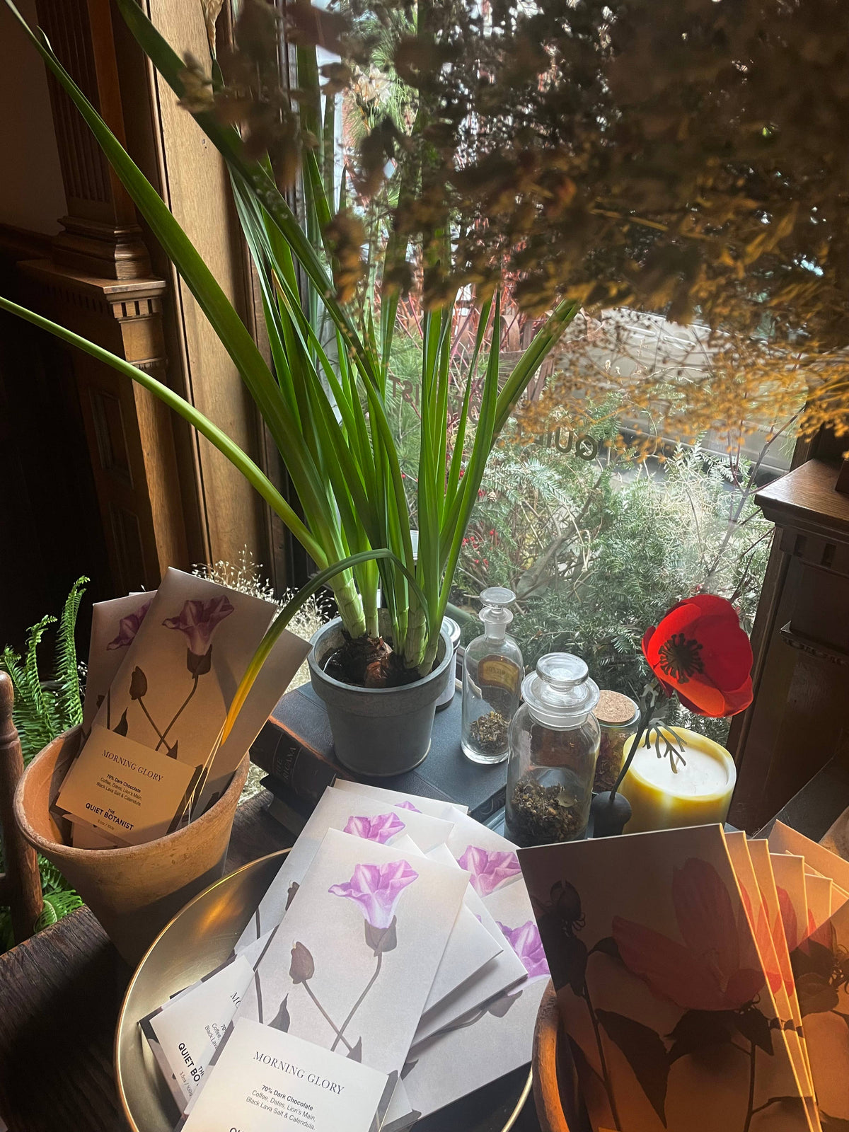 The Quiet Botanist - Morning Glory Chocolate Bar 