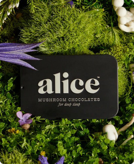 Alice Mushroom Chocolates - Nightcap
