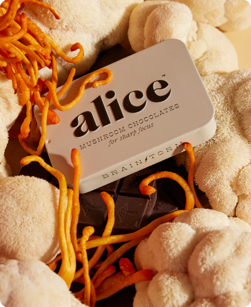 Alice Mushroom Chocolates - Brainstorm