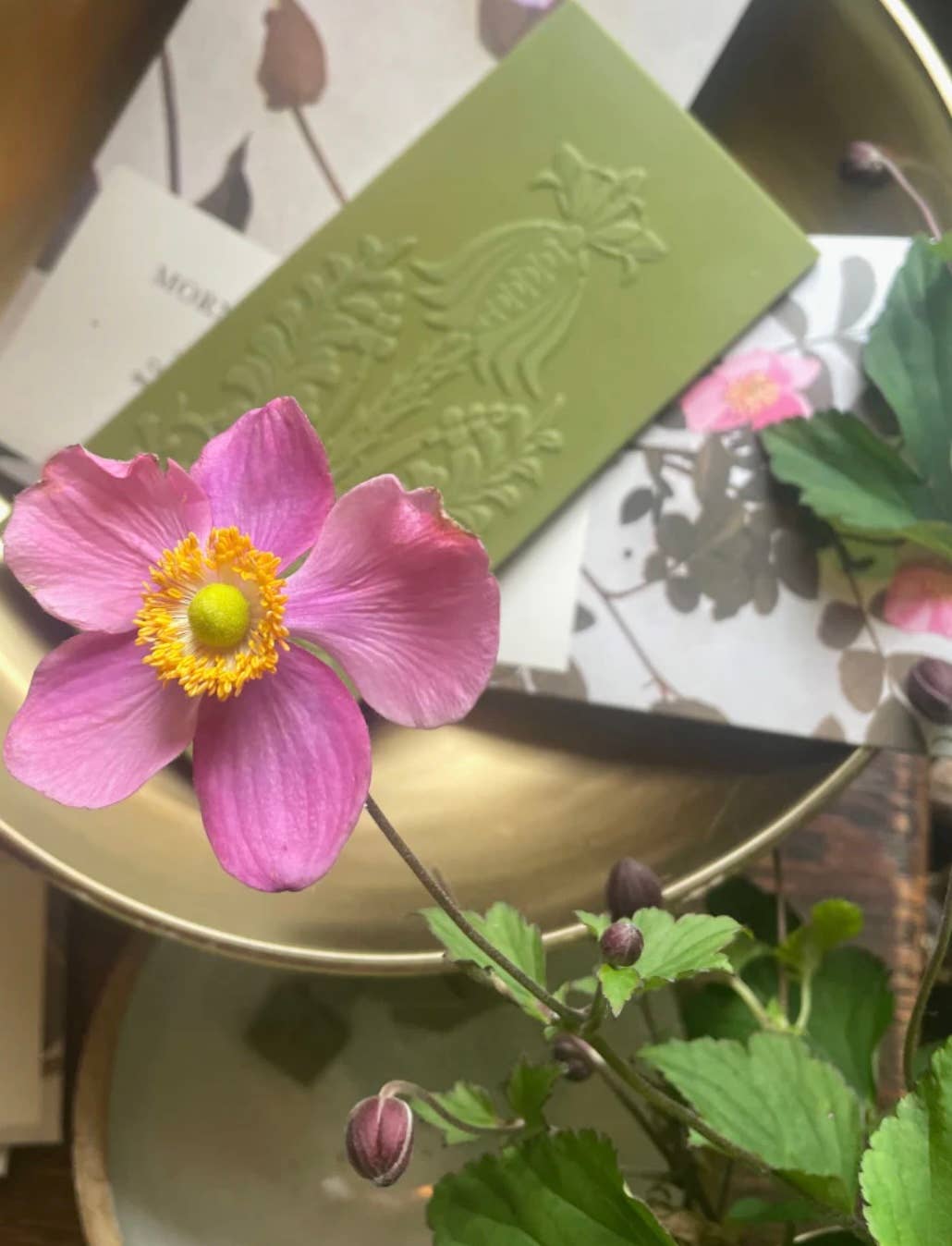 The Quiet Botanist - Matcha Rose Chocolate Bar 